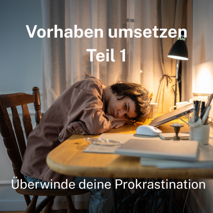 Vorhaben umsetzen